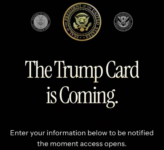 trumpcard.gov網(wǎng)站目前僅收集用戶的基礎(chǔ)信息，包括姓名、郵箱、地區(qū)及是否以個(gè)人或企業(yè)身份申請(qǐng)等。未提供任何實(shí)質(zhì)性政策說明：無申請(qǐng)細(xì)則、無權(quán)益清單、無隱私條款，甚至沒有常見問題解答等。    　　現(xiàn)階段公布的樣式，上面寫著“UNITED STATES OF AMERICA”“5M”“THE TRUMP CARD”字樣，特朗普的個(gè)人形象也是被印在上面。醒目位置標(biāo)注"500萬美元" 價(jià)碼及簽名。